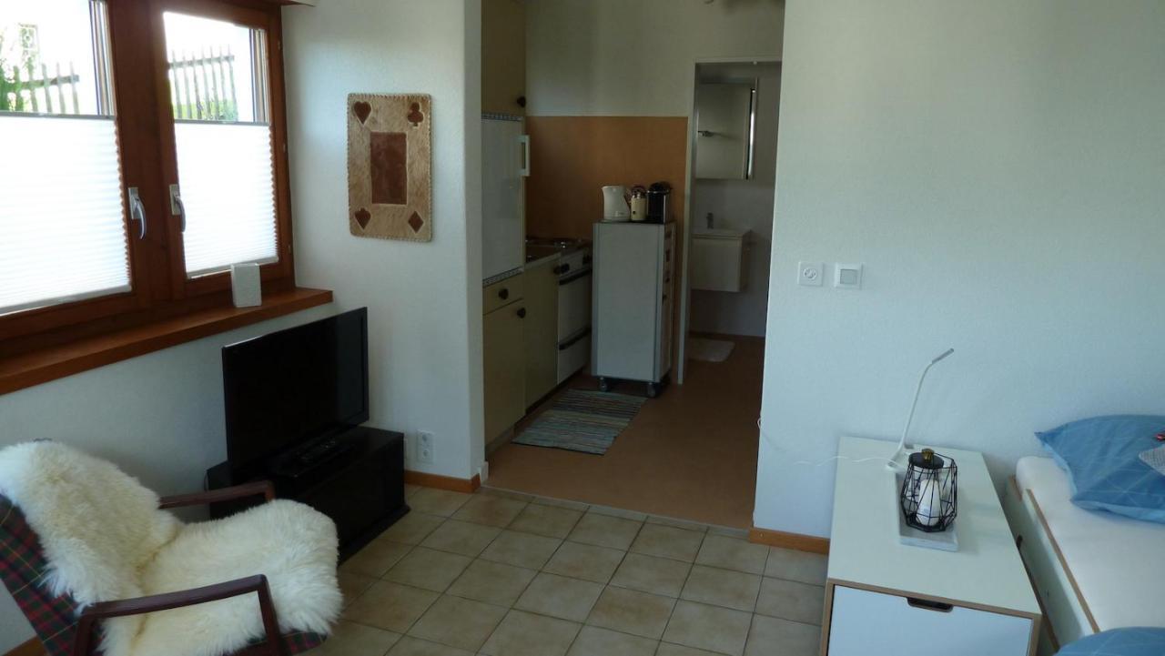 Holzji Apartment Glis Exterior photo